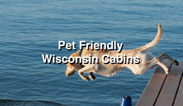 Pet Friendly Cabins in Wisconsin
